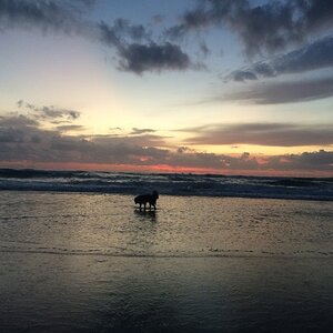 IMG_3327_zpskpwguehq.jpg