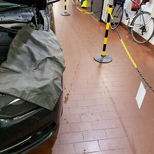 20161118_141752.jpg