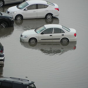 DSCN7181.JPG