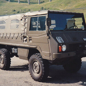 pinzgauer.jpg