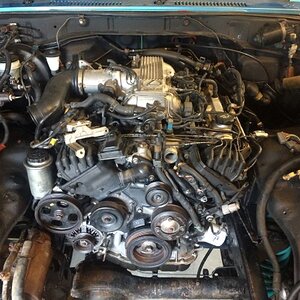 IMG_3914_zpsjpj9k52s.jpg
