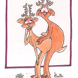 XmasisjusttoofuckingDeer.jpg