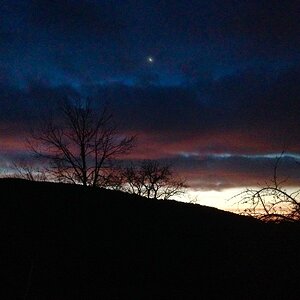 IMG_8926.JPG