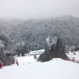 IMG_8992.JPG