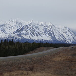 _MG_5296.JPG