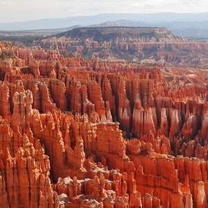 _MG_7925.JPG