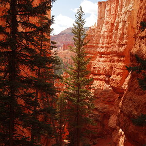 _MG_7958.JPG