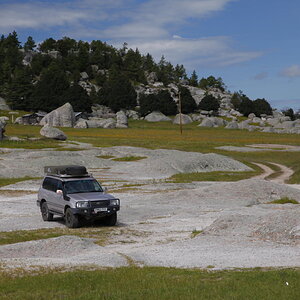 _MG_8350.JPG