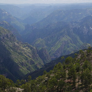 _MG_8376.JPG