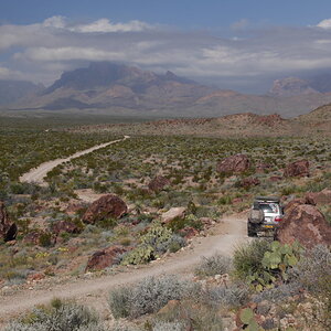 _MG_8817.JPG