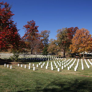 _MG_9134.JPG