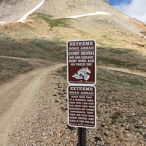 IMG_4767.JPG