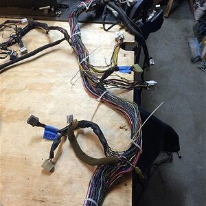 IMG_5617_zpssad6gi5d.jpg