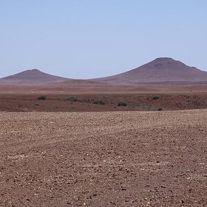 IMG_0391.jpg