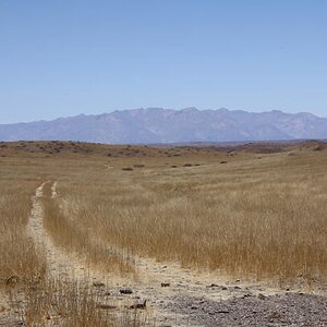 IMG_0457.jpg