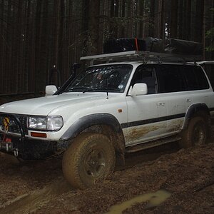 DSC08386.JPG