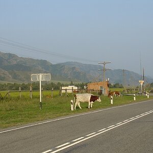 DSC08655.JPG