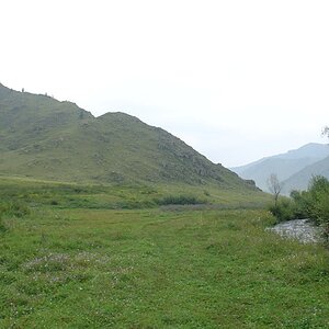 DSC08668.JPG