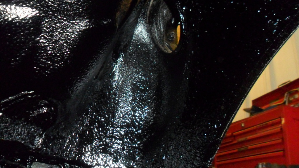 009_8.jpg