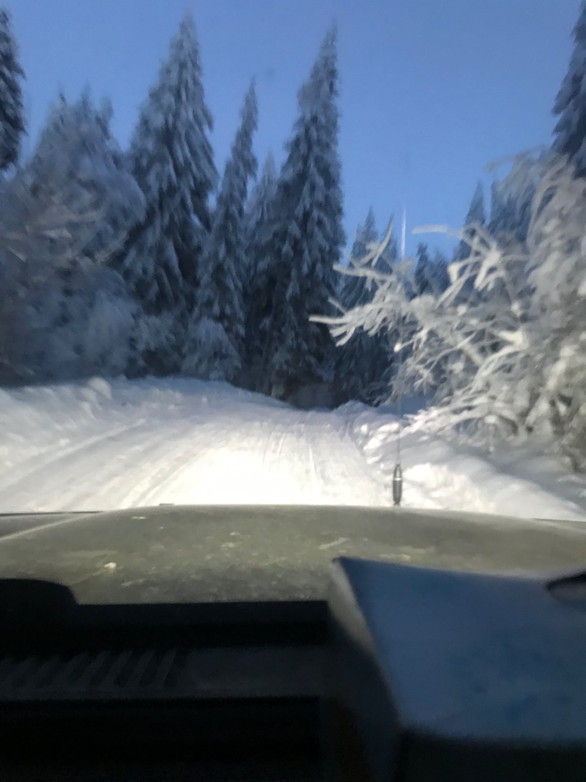 00F9D415-5093-4F27-A7E0-D4D71A5654D5.jpeg