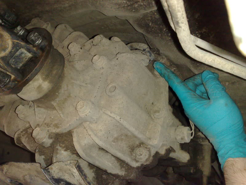 05032009059.jpg