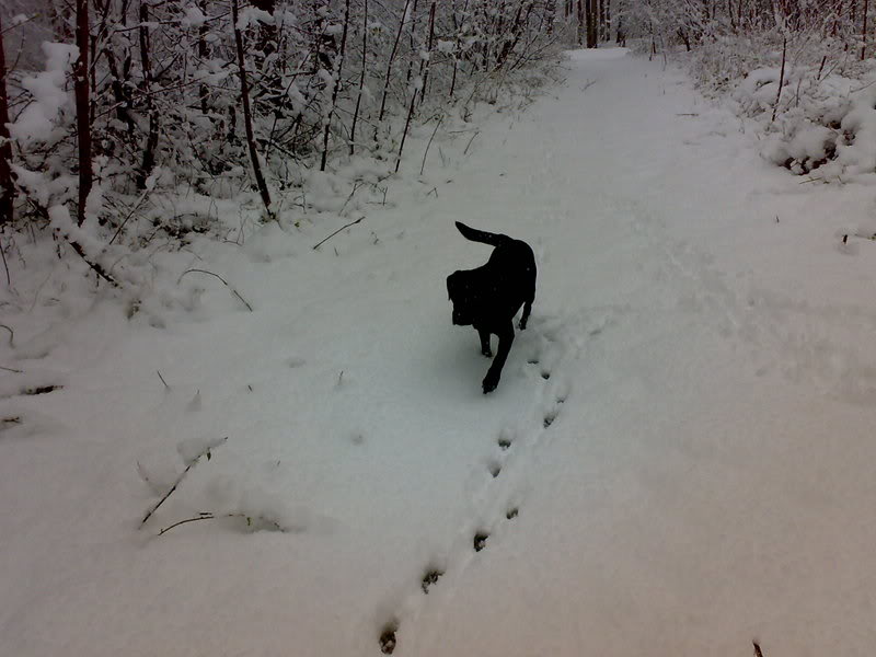 06042008129.jpg