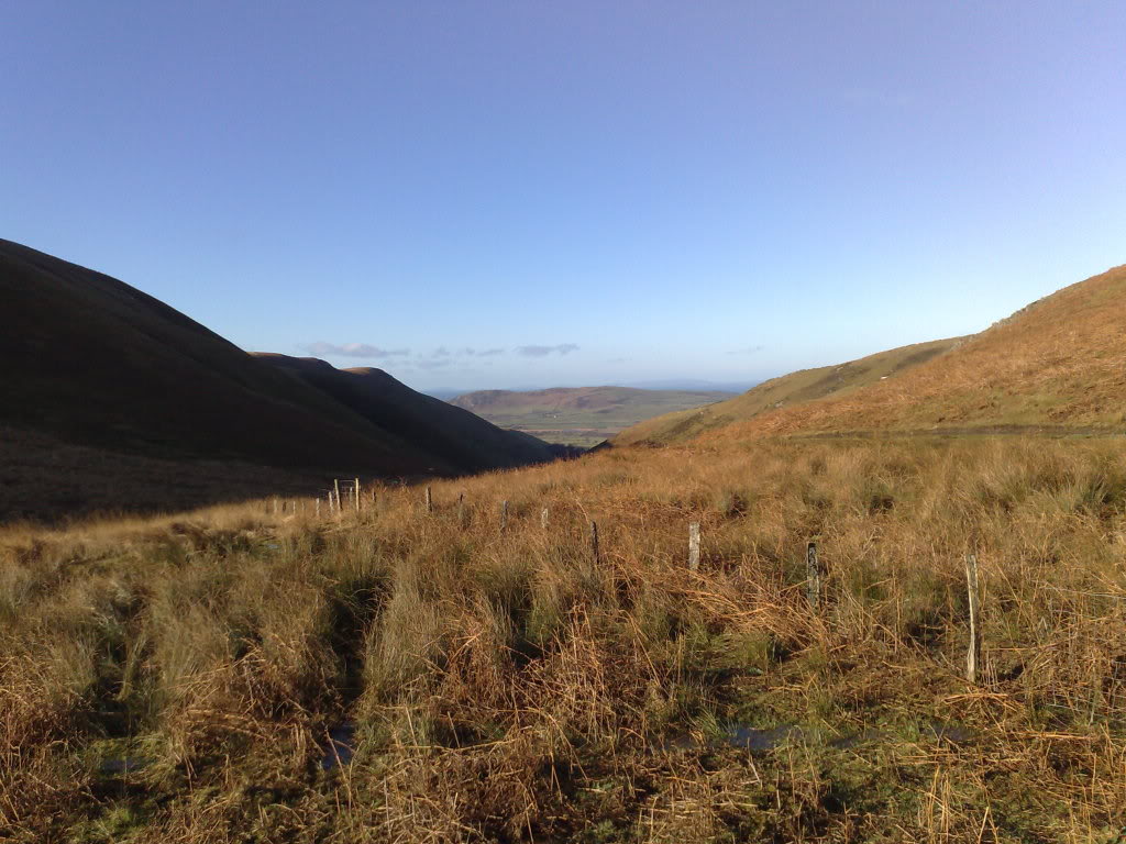 080120111261.jpg