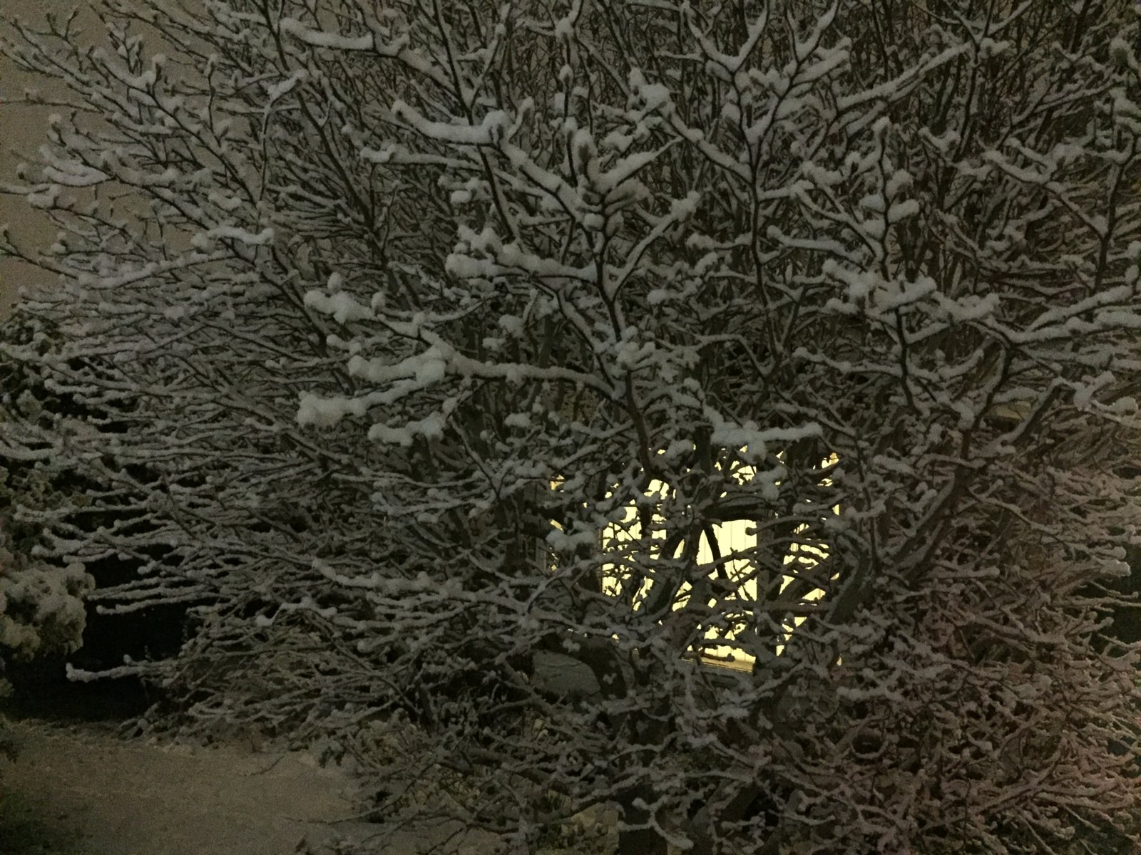 0A1C2880-78E4-4D31-A7E1-66D7D10F12CD.jpeg