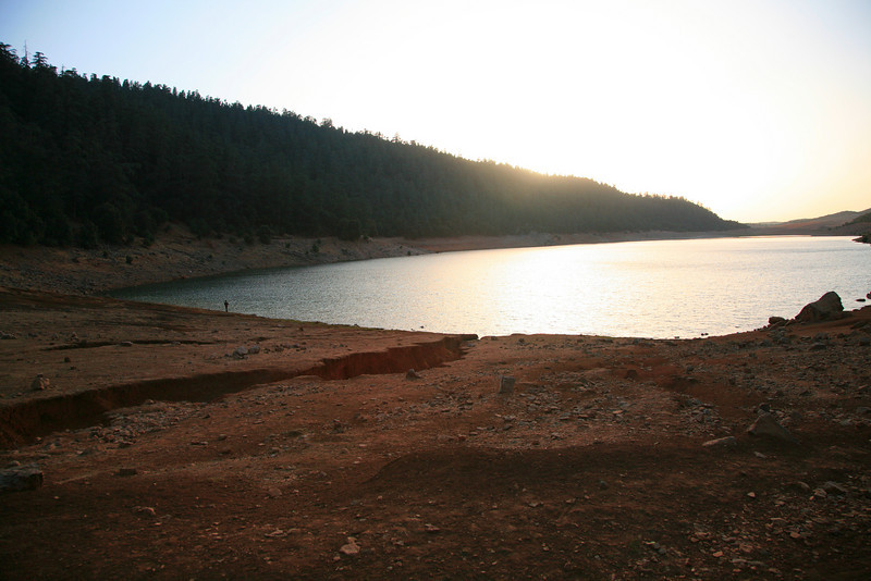 1009213132_zKgfs-L.jpg