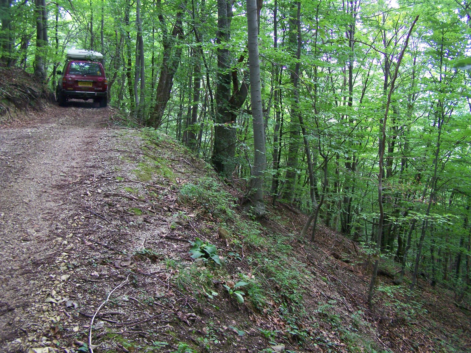 100_6759.JPG
