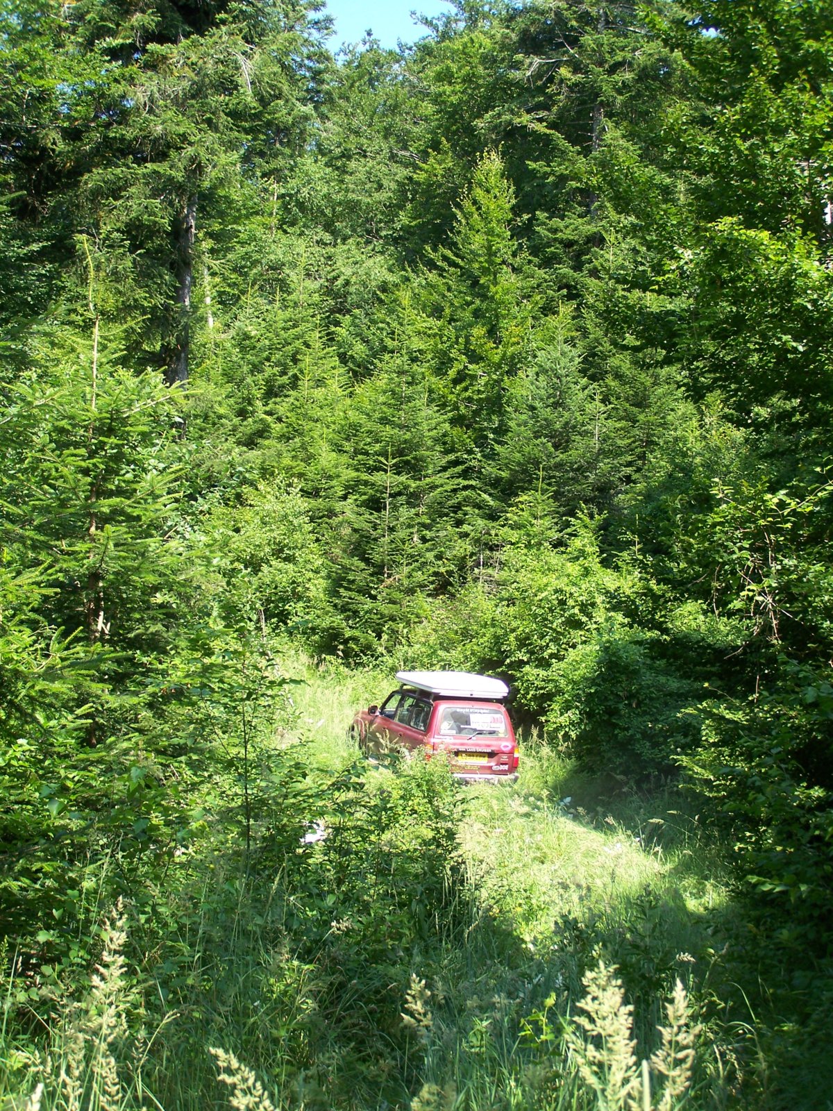 100_6876.JPG