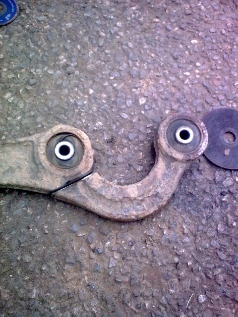10871_Image2372_1.jpg