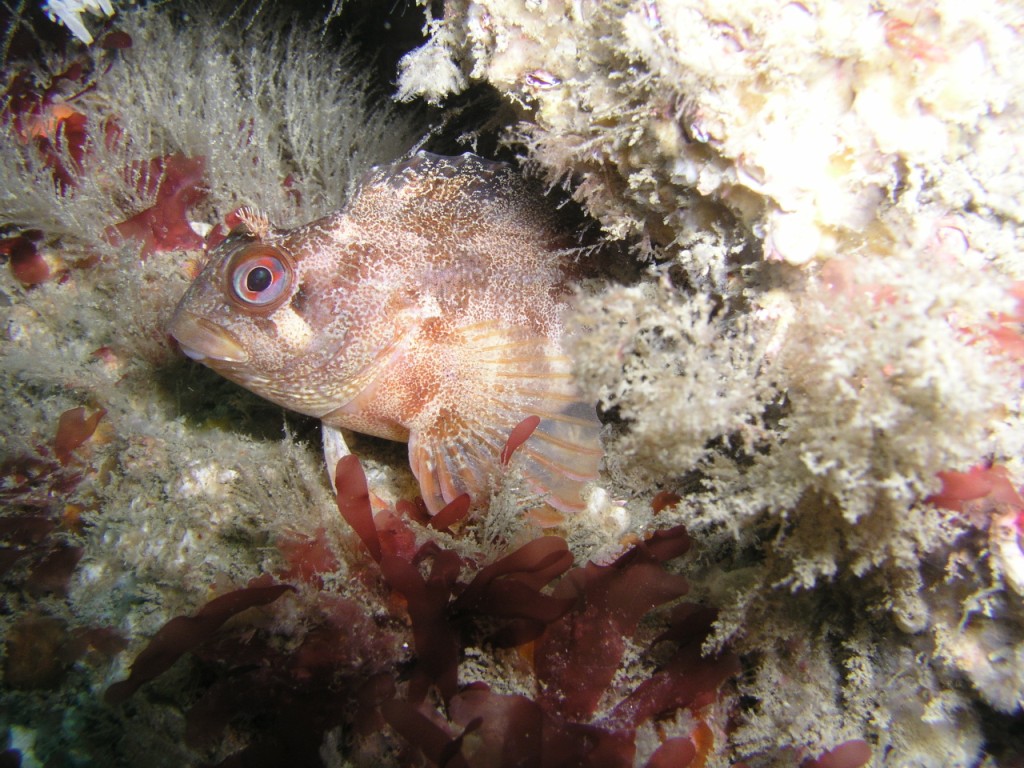 113_zpsea750279.jpg
