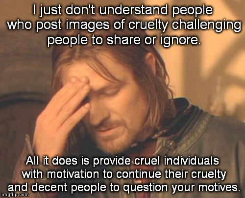 13f0pg.jpg