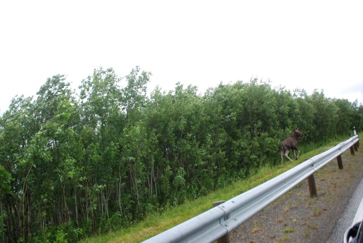 143.JPG