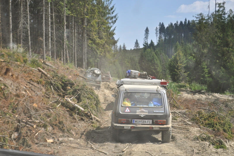 15758539ef.jpg
