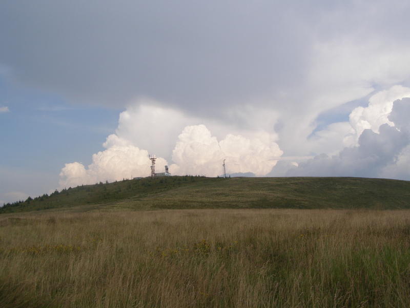 15769942ib.jpg