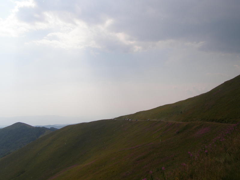 15769944ab.jpg