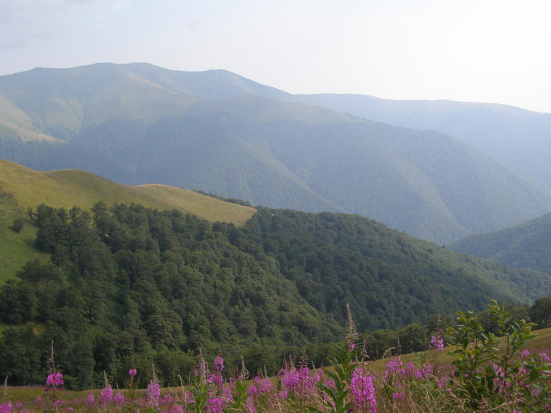 15769945wm.jpg