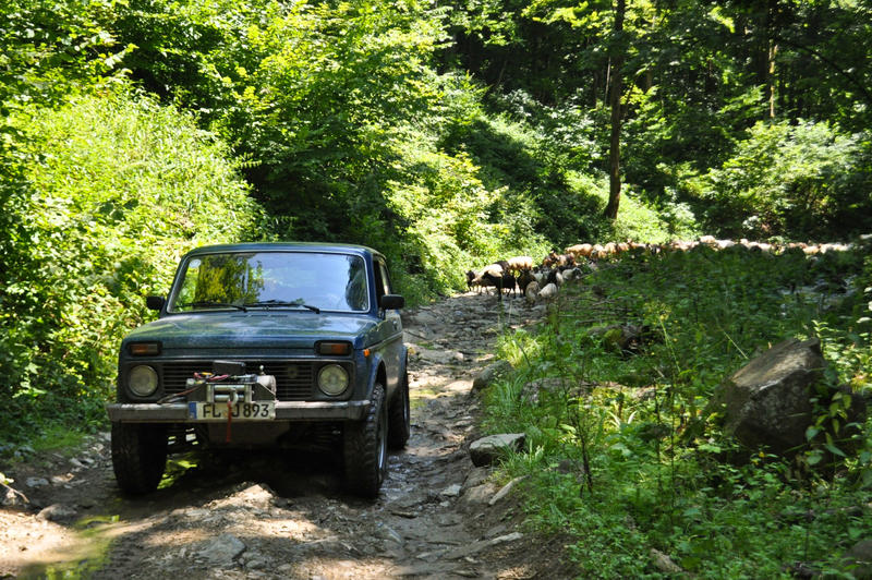15771629rg.jpg