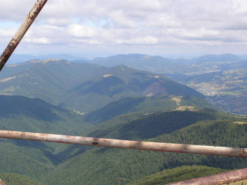 15805366ua.jpg