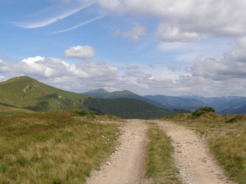 15805734xl.jpg