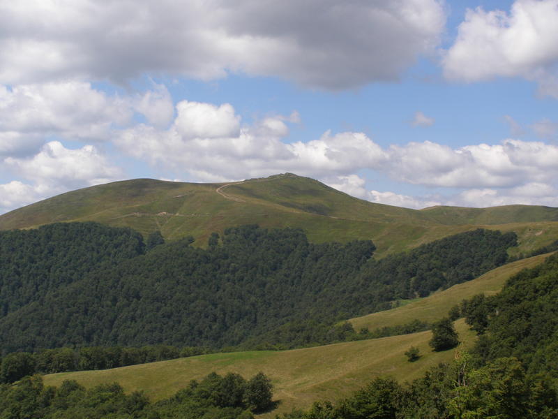15805744wt.jpg