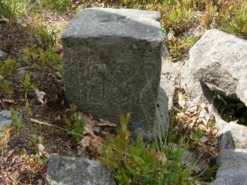 15806787nz.jpg