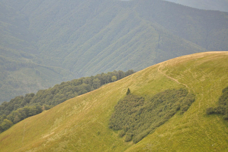 15853083xs.jpg