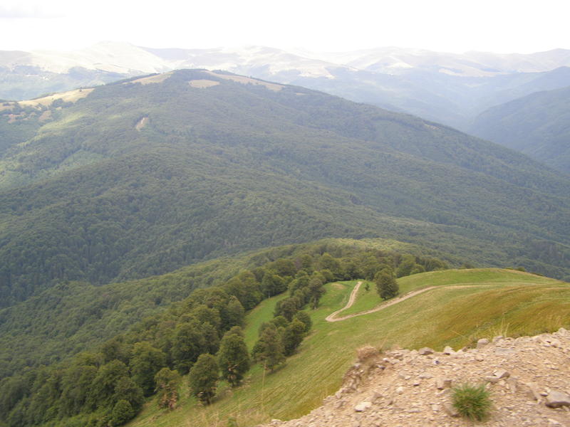 15853629av.jpg