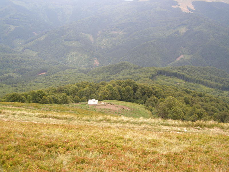 15853799jx.jpg