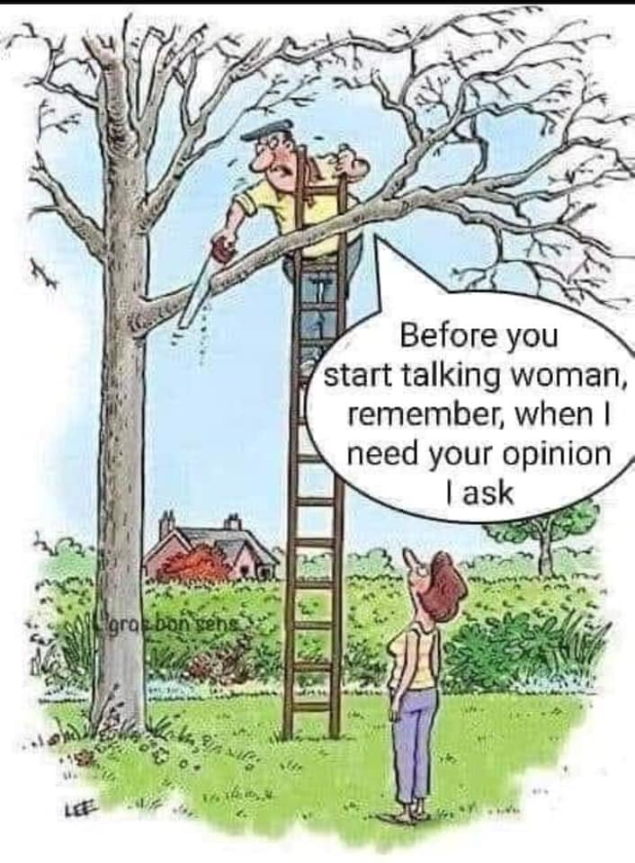 1615137278207.png