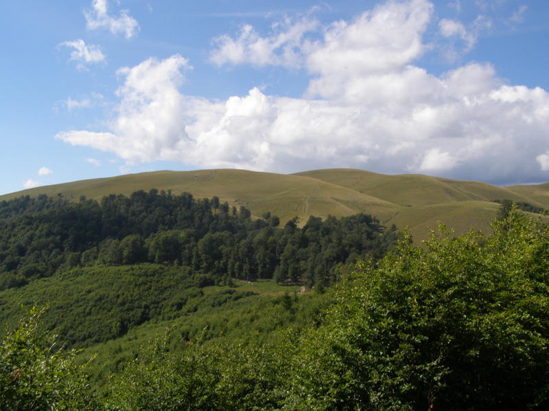 16158773ih.jpg