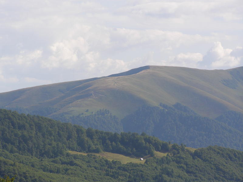 16158776sm.jpg